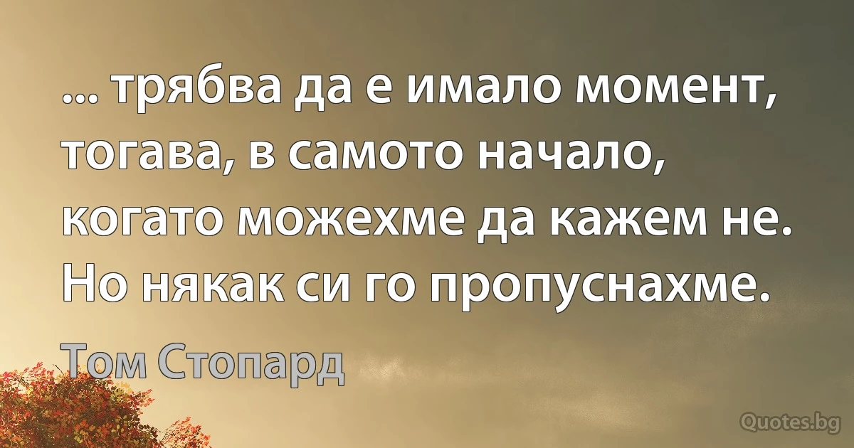 ... трябва да е имало момент, тогава, в самото начало, когато можехме да кажем не. Но някак си го пропуснахме. (Том Стопард)