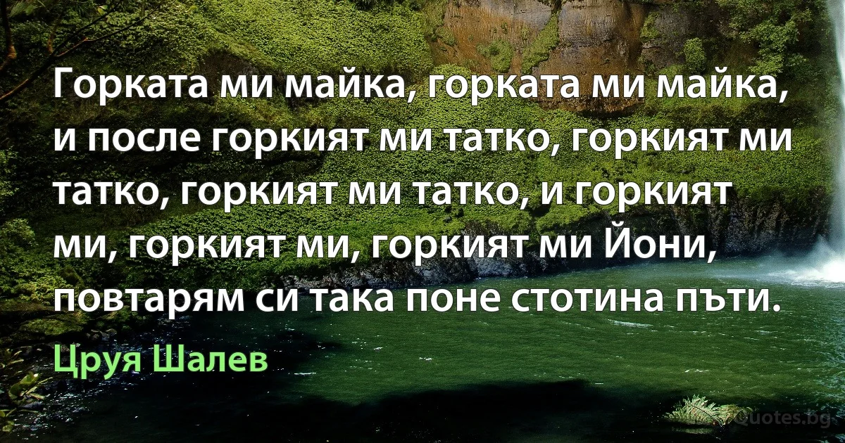 Горката ми майка, горката ми майка, и после горкият ми татко, горкият ми татко, горкият ми татко, и горкият ми, горкият ми, горкият ми Йони, повтарям си така поне стотина пъти. (Цруя Шалев)