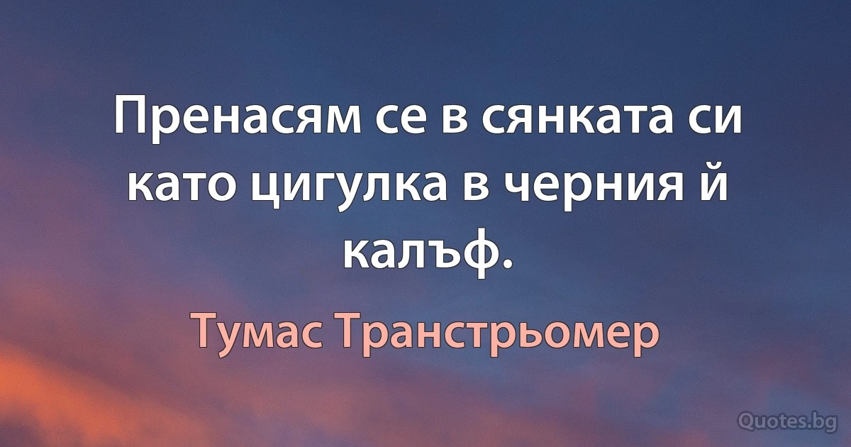 Пренасям се в сянката си като цигулка в черния й калъф. (Тумас Транстрьомер)