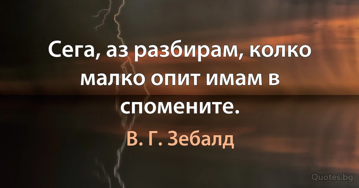 Сега, аз разбирам, колко малко опит имам в спомените. (В. Г. Зебалд)