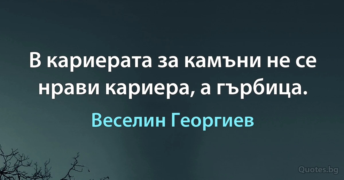 В кариерата за камъни не се нрави кариера, а гърбица. (Веселин Георгиев)