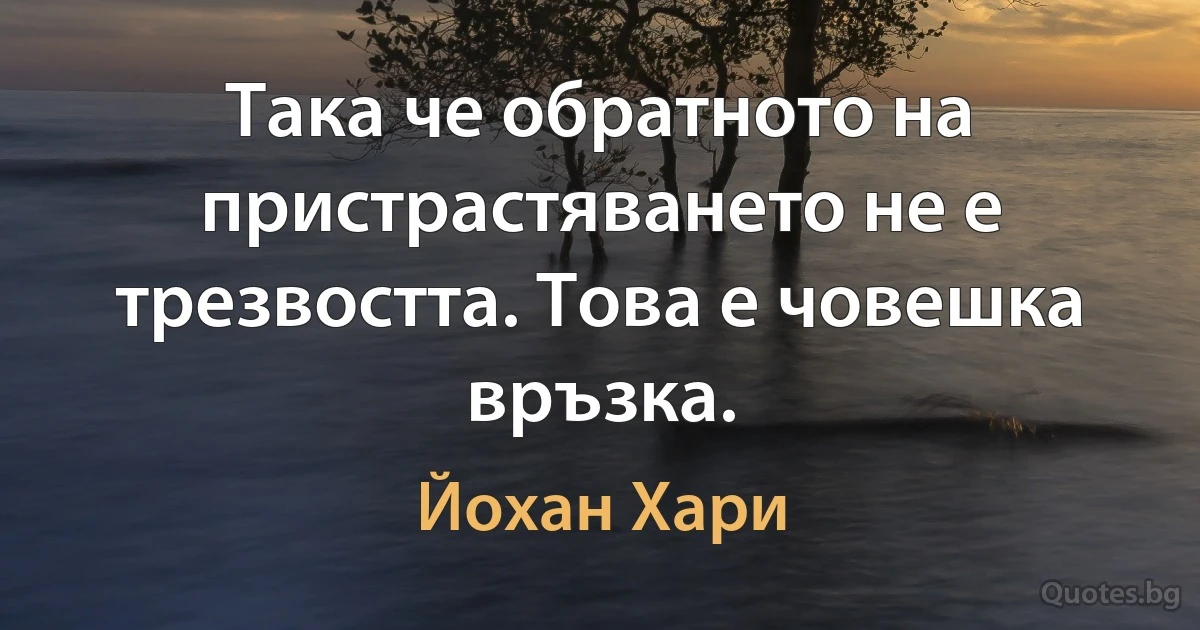 Така че обратното на пристрастяването не е трезвостта. Това е човешка връзка. (Йохан Хари)