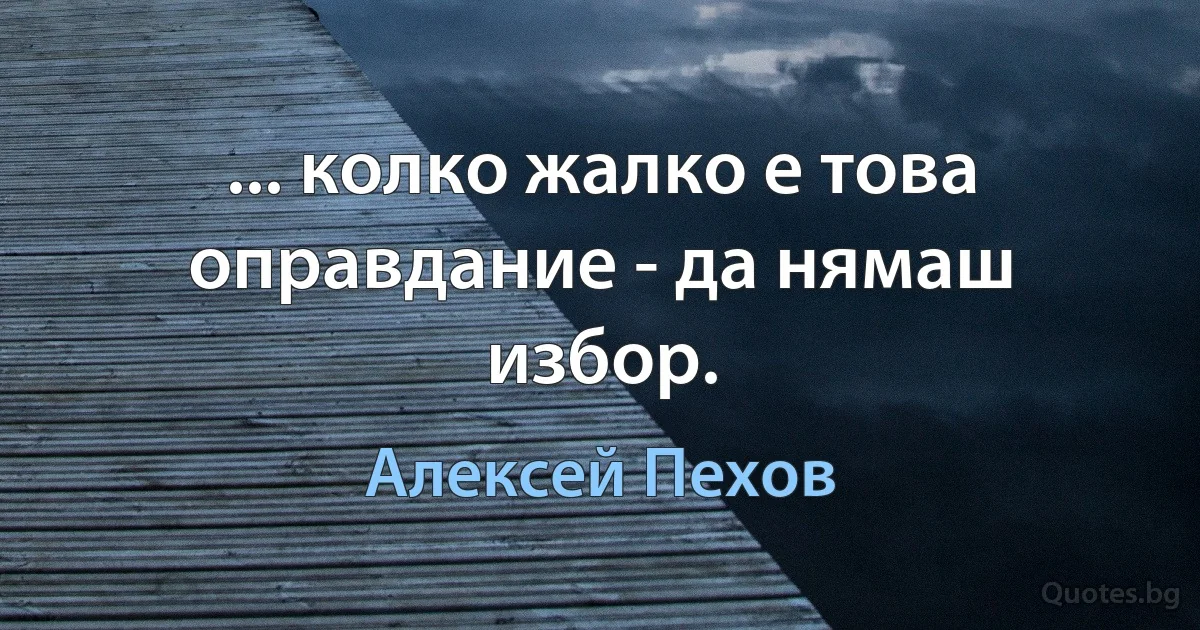 ... колко жалко е това оправдание - да нямаш избор. (Алексей Пехов)