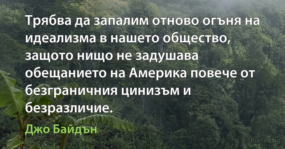 Трябва да запалим отново огъня на идеализма в нашето общество, защото нищо не задушава обещанието на Америка повече от безграничния цинизъм и безразличие. (Джо Байдън)