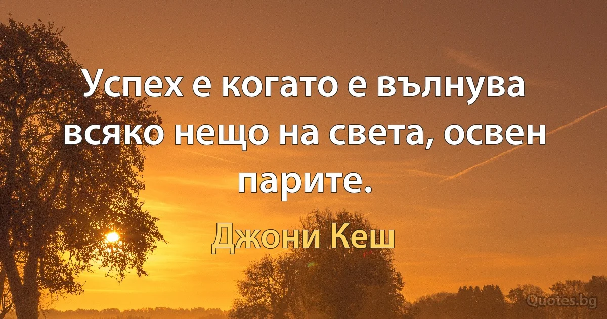 Успех е когато е вълнува всяко нещо на света, освен парите. (Джони Кеш)