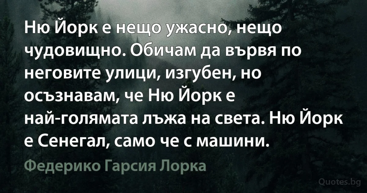 Ню Йорк е нещо ужасно, нещо чудовищно. Обичам да вървя по неговите улици, изгубен, но осъзнавам, че Ню Йорк е най-голямата лъжа на света. Ню Йорк е Сенегал, само че с машини. (Федерико Гарсия Лорка)