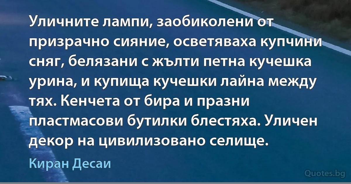 Уличните лампи, заобиколени от призрачно сияние, осветяваха купчини сняг, белязани с жълти петна кучешка урина, и купища кучешки лайна между тях. Кенчета от бира и празни пластмасови бутилки блестяха. Уличен декор на цивилизовано селище. (Киран Десаи)