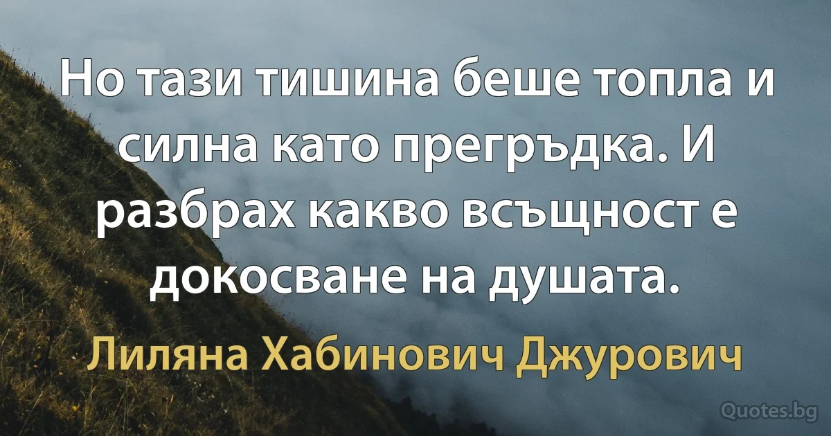 Но тази тишина беше топла и силна като прегръдка. И разбрах какво всъщност е докосване на душата. (Лиляна Хабинович Джурович)