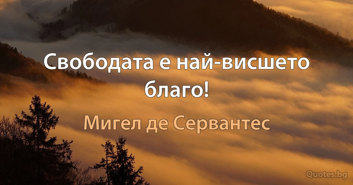 Свободата е най-висшето благо! (Мигел де Сервантес)