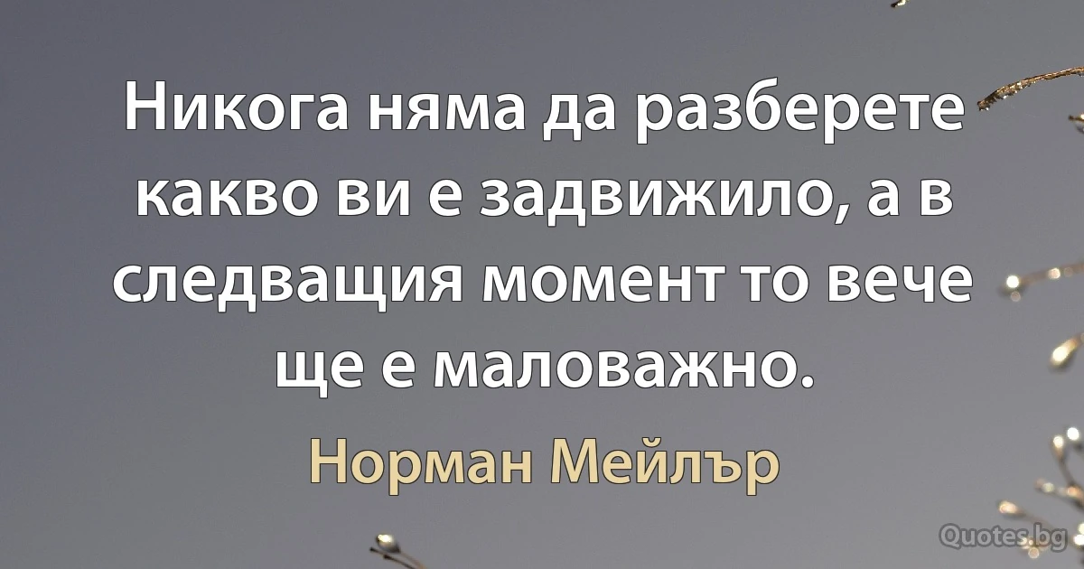 Никога няма да разберете какво ви е задвижило, а в следващия момент то вече ще е маловажно. (Норман Мейлър)