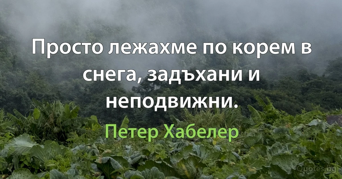 Просто лежахме по корем в снега, задъхани и неподвижни. (Петер Хабелер)