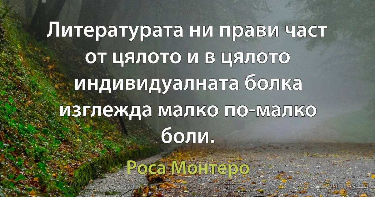 Литературата ни прави част от цялото и в цялото индивидуалната болка изглежда малко по-малко боли. (Роса Монтеро)