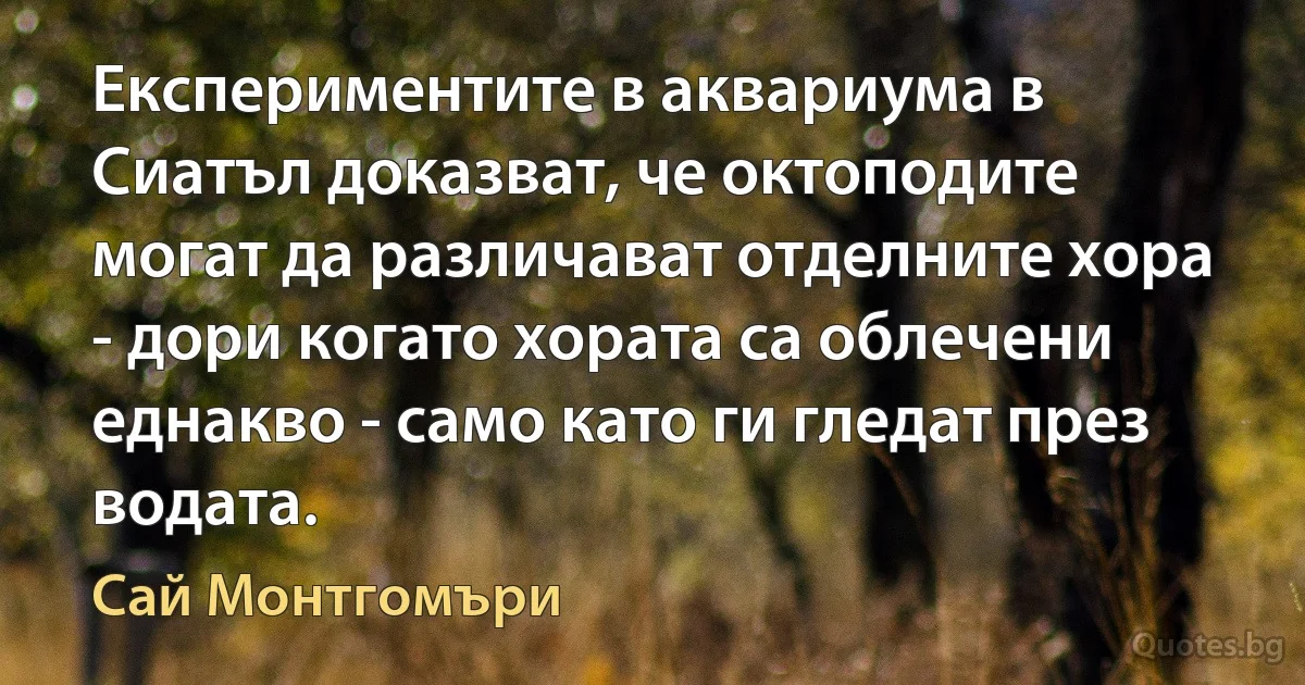 Експериментите в аквариума в Сиатъл доказват, че октоподите могат да различават отделните хора - дори когато хората са облечени еднакво - само като ги гледат през водата. (Сай Монтгомъри)