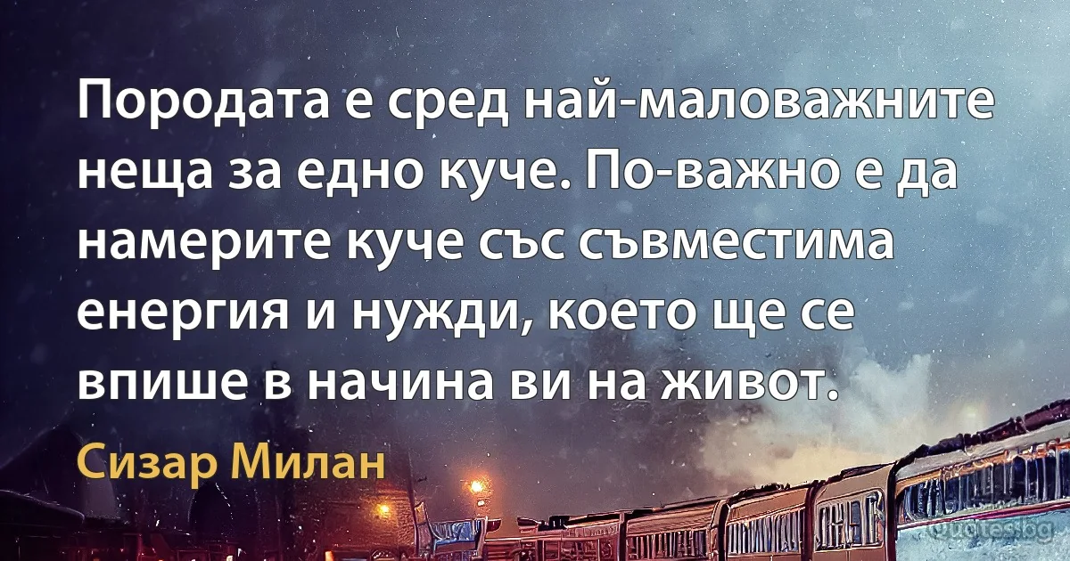 Породата е сред най-маловажните неща за едно куче. По-важно е да намерите куче със съвместима енергия и нужди, което ще се впише в начина ви на живот. (Сизар Милан)