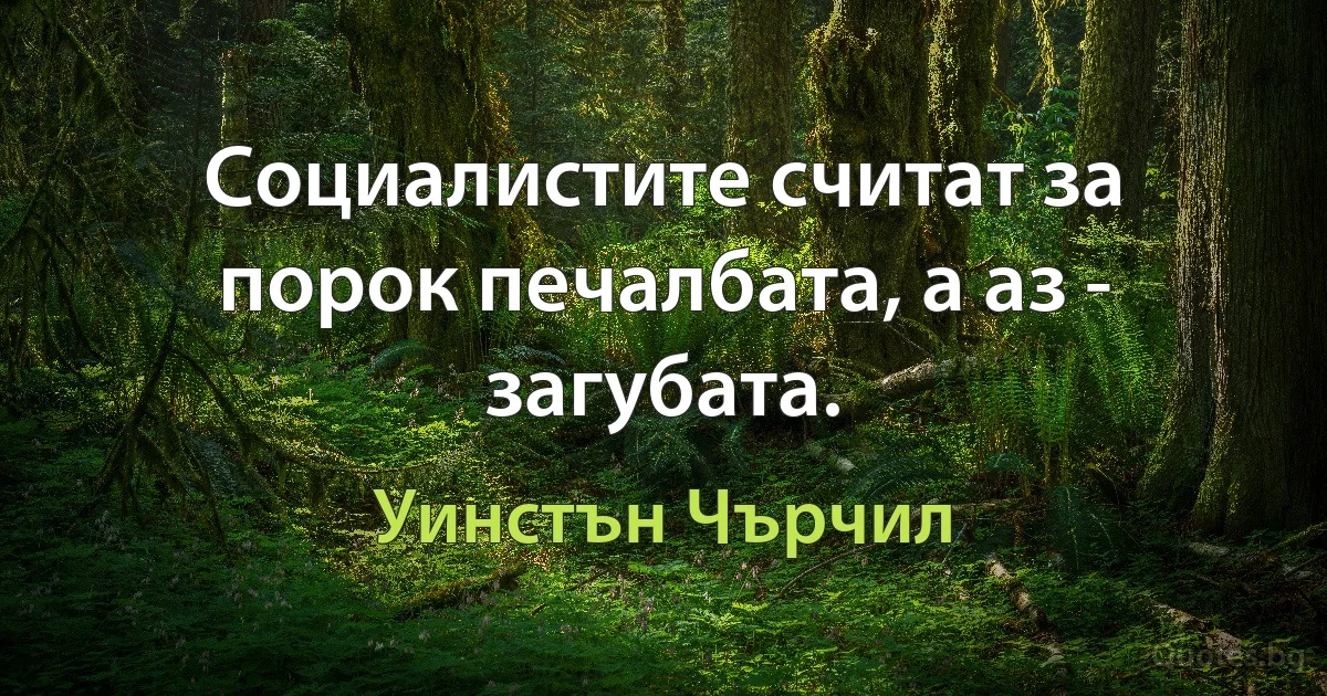 Социалистите считат за порок печалбата, а аз - загубата. (Уинстън Чърчил)