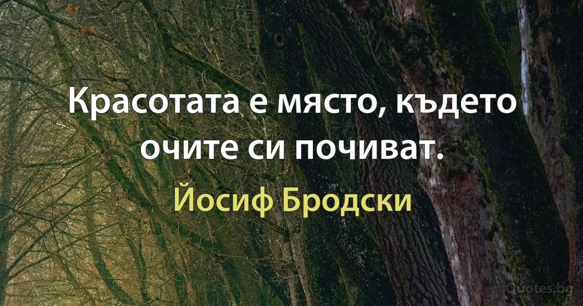 Красотата е място, където очите си почиват. (Йосиф Бродски)