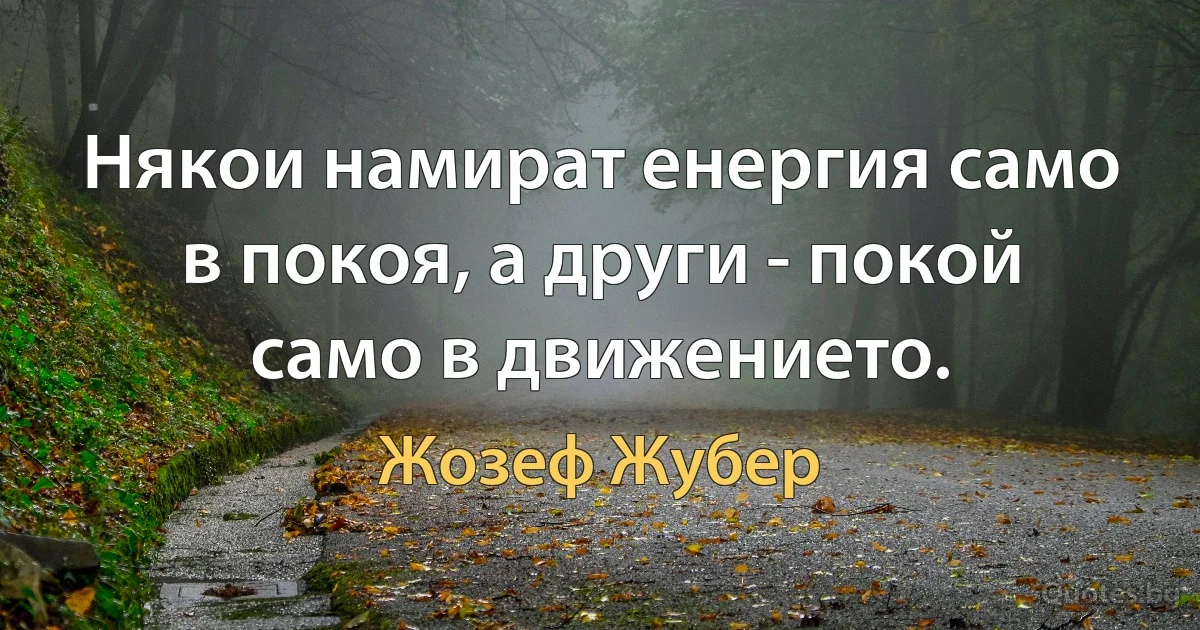 Някои намират енергия само в покоя, а други - покой само в движението. (Жозеф Жубер)