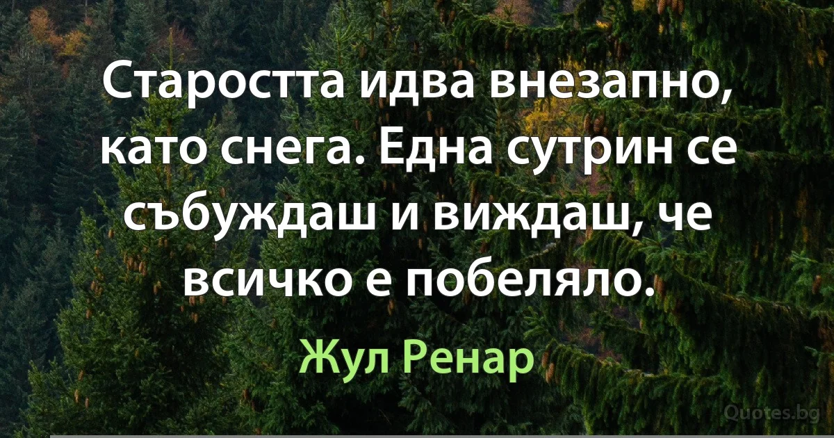 Старостта идва внезапно, като снега. Една сутрин се събуждаш и виждаш, че всичко е побеляло. (Жул Ренар)