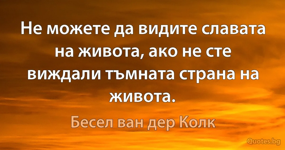 Не можете да видите славата на живота, ако не сте виждали тъмната страна на живота. (Бесел ван дер Колк)