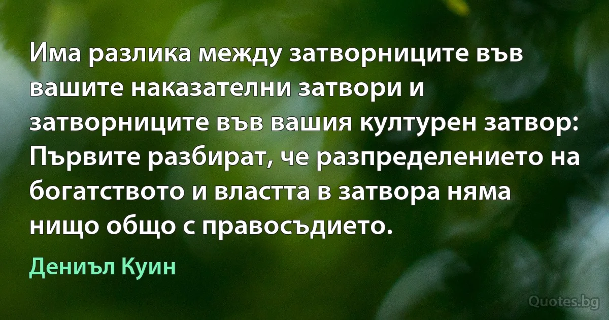 Има разлика между затворниците във вашите наказателни затвори и затворниците във вашия културен затвор: Първите разбират, че разпределението на богатството и властта в затвора няма нищо общо с правосъдието. (Дениъл Куин)