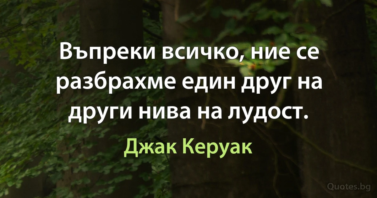 Въпреки всичко, ние се разбрахме един друг на други нива на лудост. (Джак Керуак)