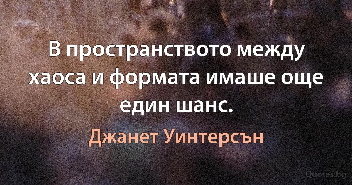 В пространството между хаоса и формата имаше още един шанс. (Джанет Уинтерсън)