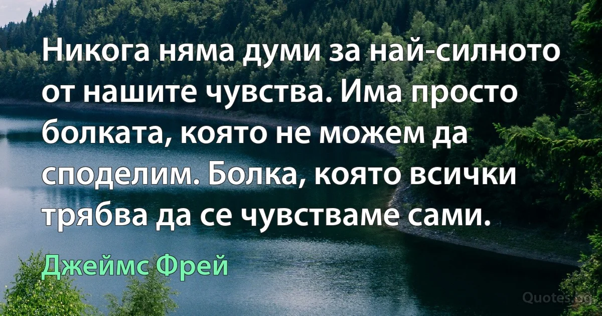 Никога няма думи за най-силното от нашите чувства. Има просто болката, която не можем да споделим. Болка, която всички трябва да се чувстваме сами. (Джеймс Фрей)