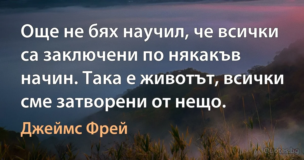 Още не бях научил, че всички са заключени по някакъв начин. Така е животът, всички сме затворени от нещо. (Джеймс Фрей)