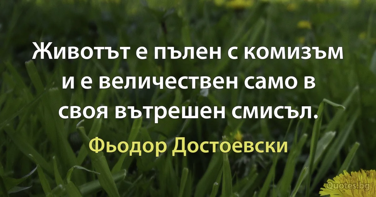 Животът е пълен с комизъм и е величествен само в своя вътрешен смисъл. (Фьодор Достоевски)