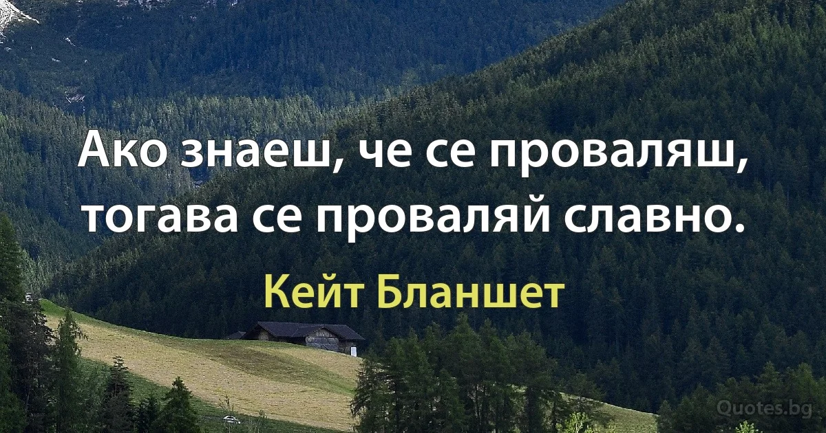 Ако знаеш, че се проваляш, тогава се проваляй славно. (Кейт Бланшет)