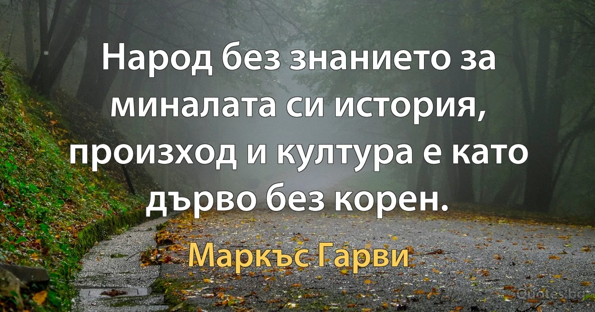 Народ без знанието за миналата си история, произход и култура е като дърво без корен. (Маркъс Гарви)