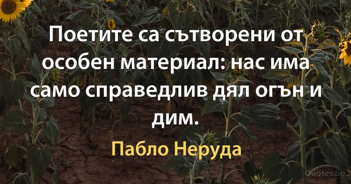 Поетите са сътворени от особен материал: нас има само справедлив дял огън и дим. (Пабло Неруда)