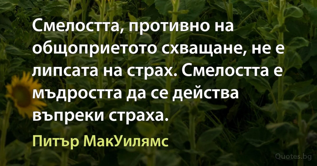 Смелостта, противно на общоприетото схващане, не е липсата на страх. Смелостта е мъдростта да се действа въпреки страха. (Питър МакУилямс)