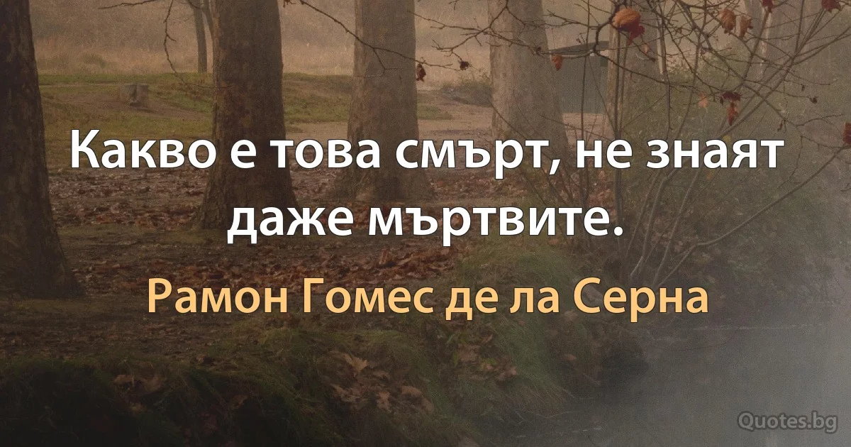 Какво е това смърт, не знаят даже мъртвите. (Рамон Гомес де ла Серна)