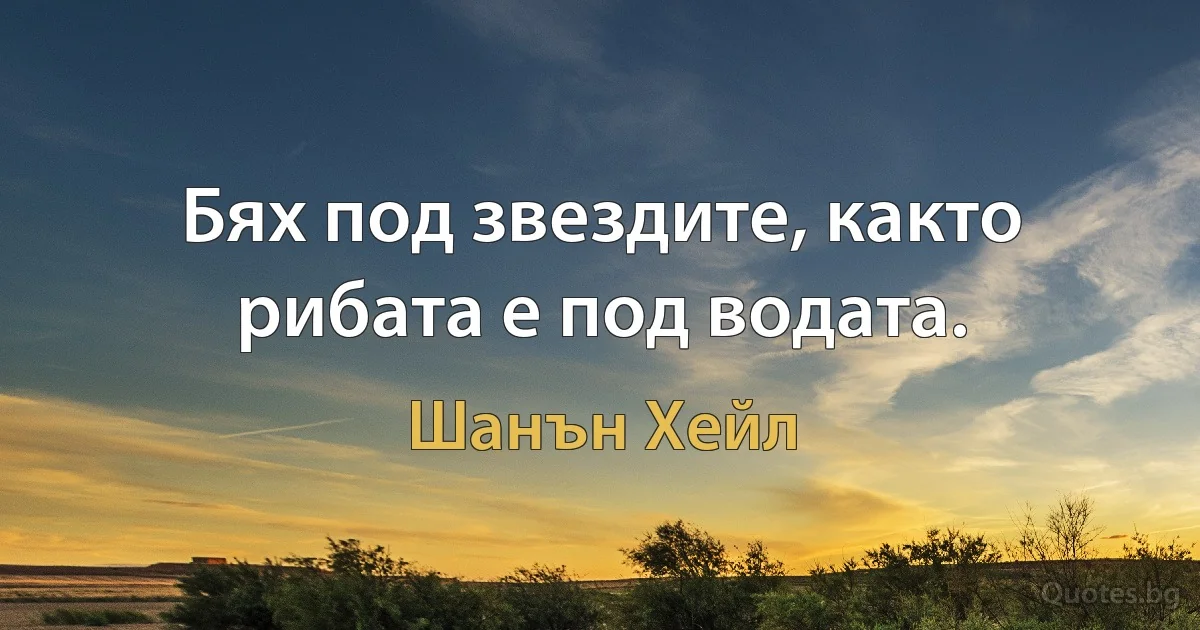 Бях под звездите, както рибата е под водата. (Шанън Хейл)