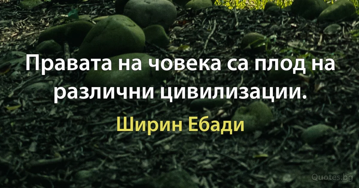 Правата на човека са плод на различни цивилизации. (Ширин Ебади)