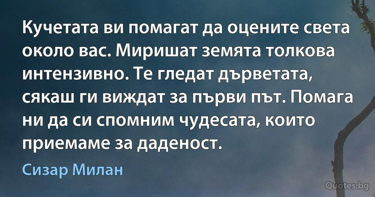 Кучетата ви помагат да оцените света около вас. Миришат земята толкова интензивно. Те гледат дърветата, сякаш ги виждат за първи път. Помага ни да си спомним чудесата, които приемаме за даденост. (Сизар Милан)