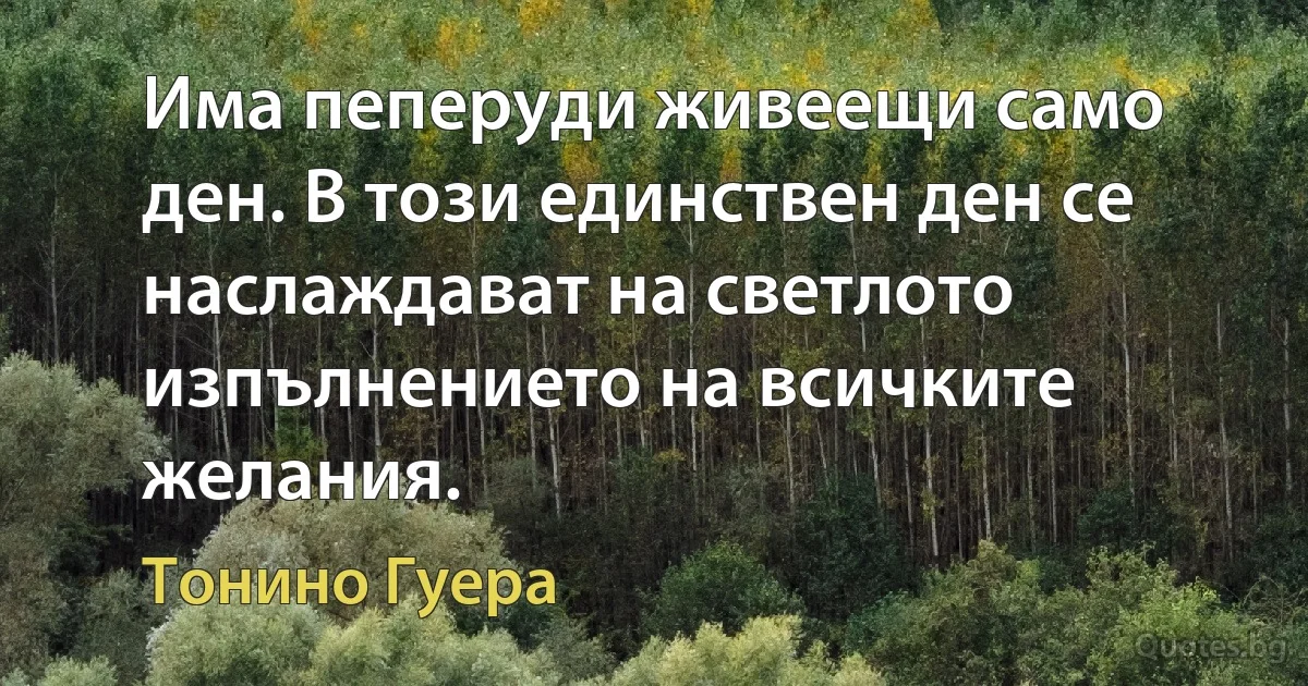 Има пеперуди живеещи само ден. В този единствен ден се наслаждават на светлото изпълнението на всичките желания. (Тонино Гуера)