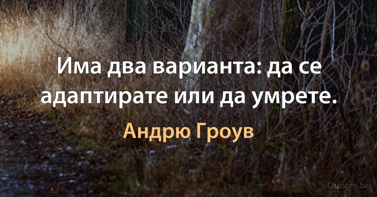 Има два варианта: да се адаптирате или да умрете. (Андрю Гроув)