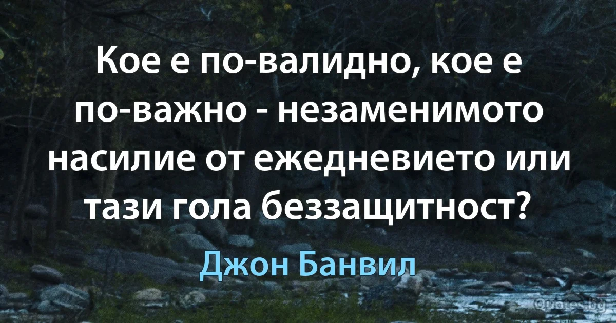 Кое е по-валидно, кое е по-важно - незаменимото насилие от ежедневието или тази гола беззащитност? (Джон Банвил)