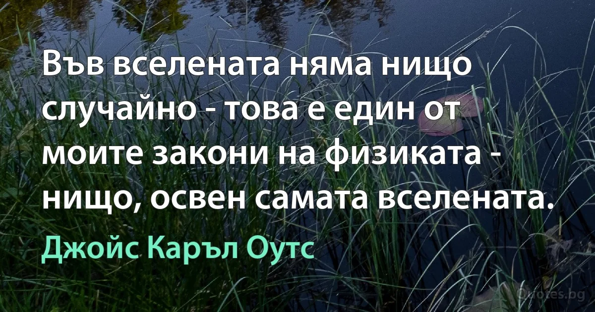 Във вселената няма нищо случайно - това е един от моите закони на физиката - нищо, освен самата вселената. (Джойс Каръл Оутс)