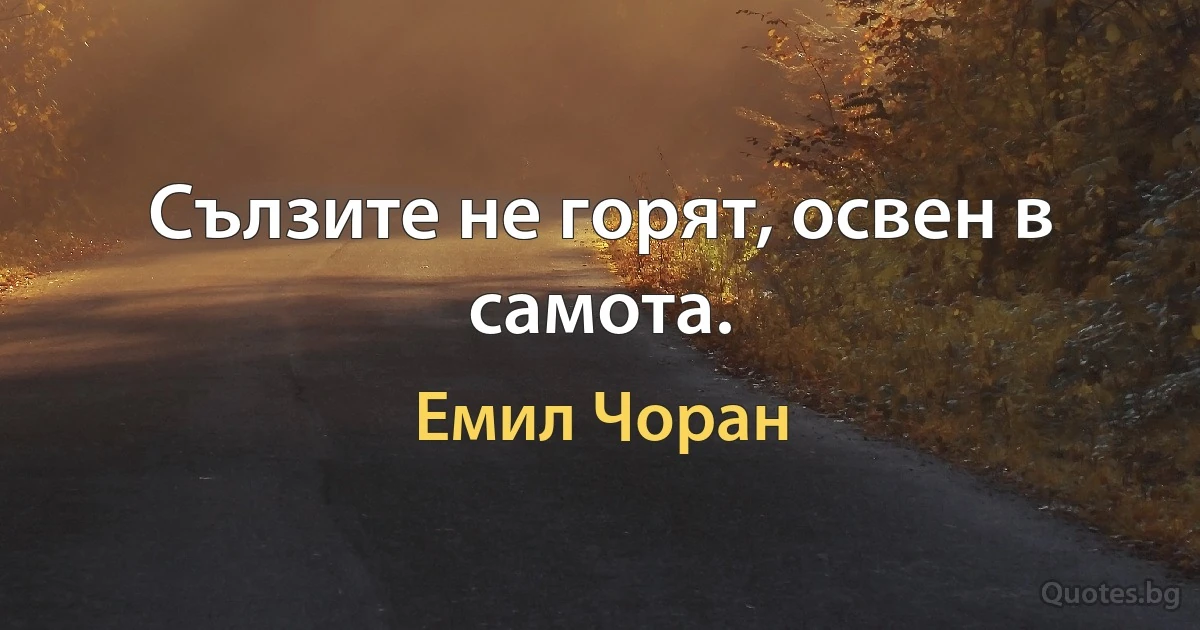 Сълзите не горят, освен в самота. (Емил Чоран)