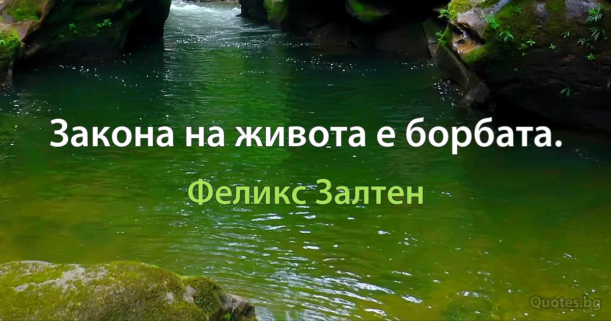 Закона на живота е борбата. (Феликс Залтен)