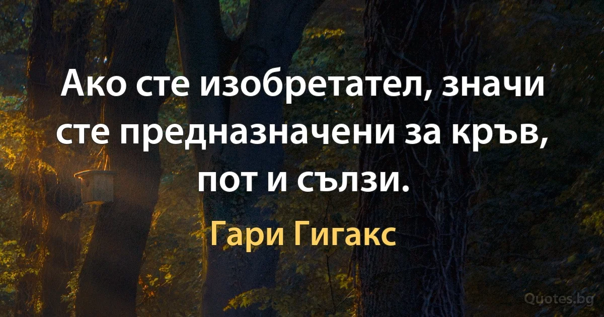 Ако сте изобретател, значи сте предназначени за кръв, пот и сълзи. (Гари Гигакс)