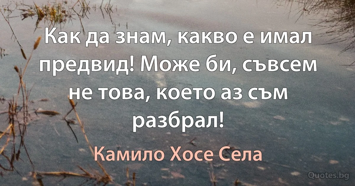 Как да знам, какво е имал предвид! Може би, съвсем не това, което аз съм разбрал! (Камило Хосе Села)