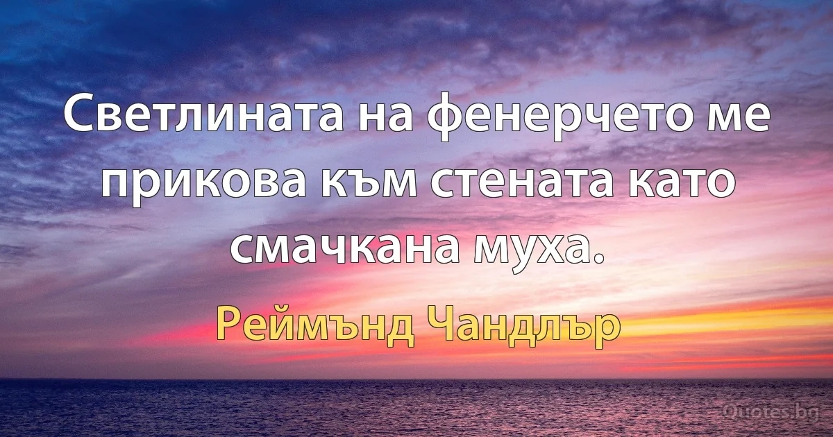 Светлината на фенерчето ме прикова към стената като смачкана муха. (Реймънд Чандлър)