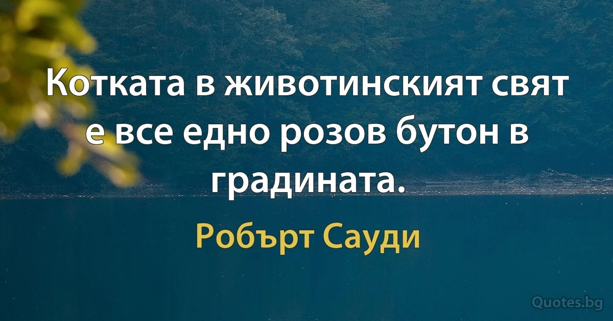 Котката в животинският свят е все едно розов бутон в градината. (Робърт Сауди)