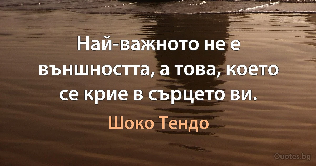 Най-важното не е външността, а това, което се крие в сърцето ви. (Шоко Тендо)