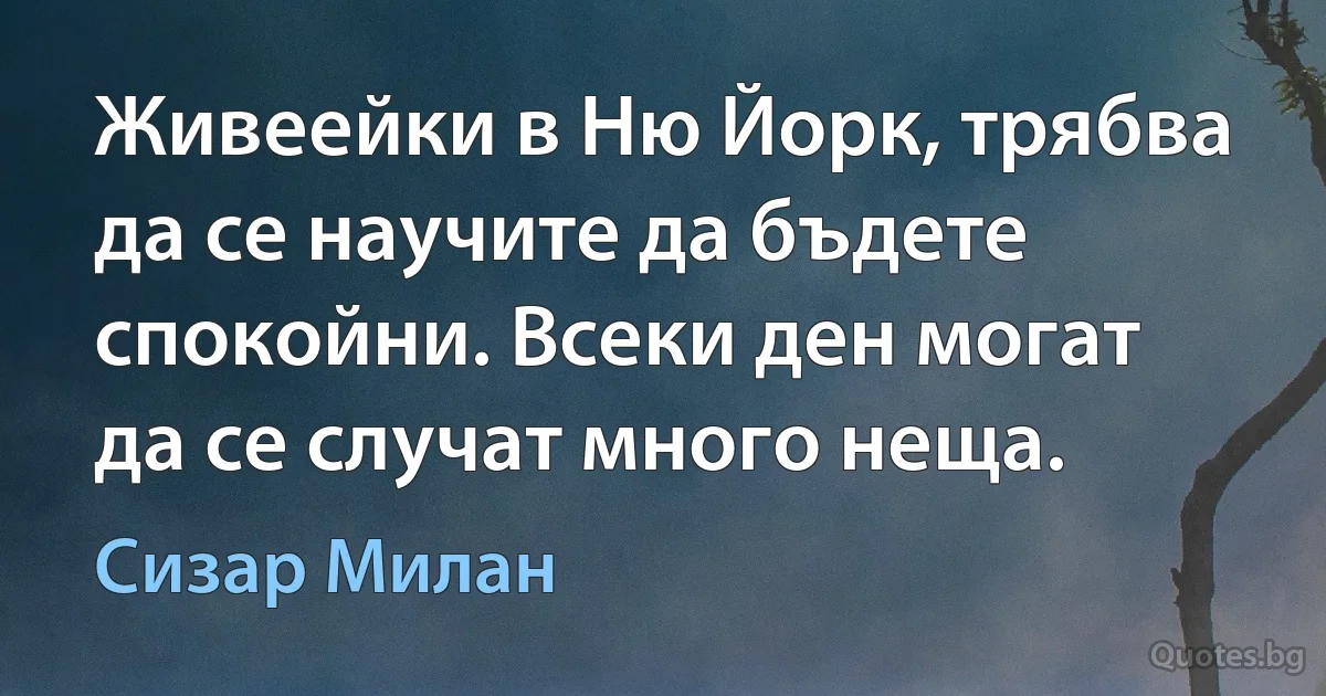 Живеейки в Ню Йорк, трябва да се научите да бъдете спокойни. Всеки ден могат да се случат много неща. (Сизар Милан)