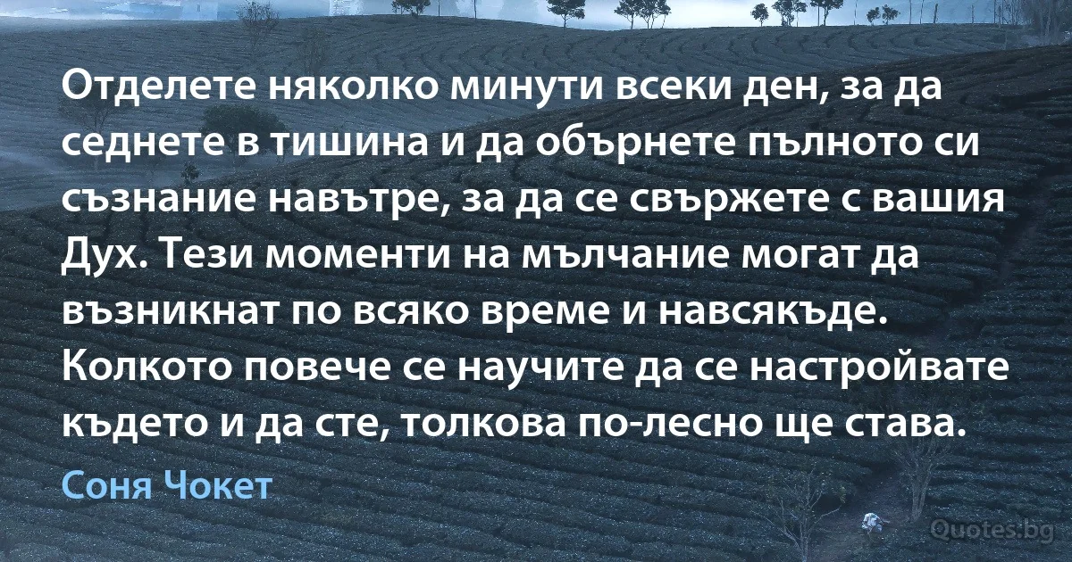 Отделете няколко минути всеки ден, за да седнете в тишина и да обърнете пълното си съзнание навътре, за да се свържете с вашия Дух. Тези моменти на мълчание могат да възникнат по всяко време и навсякъде. Колкото повече се научите да се настройвате където и да сте, толкова по-лесно ще става. (Соня Чокет)